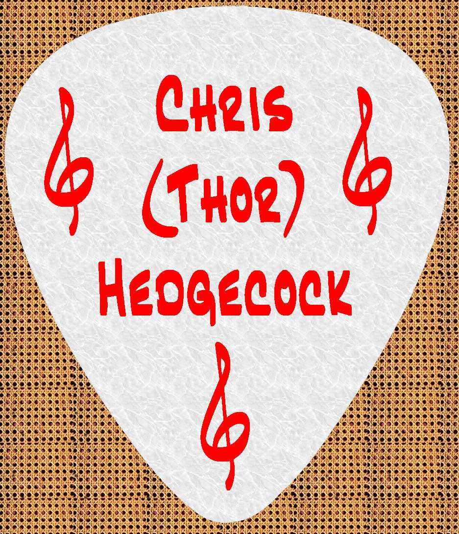 Thor guitar pick